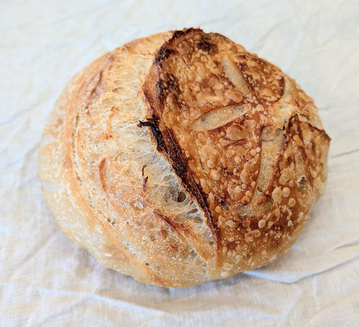 Classic Sourdough Round Loaf