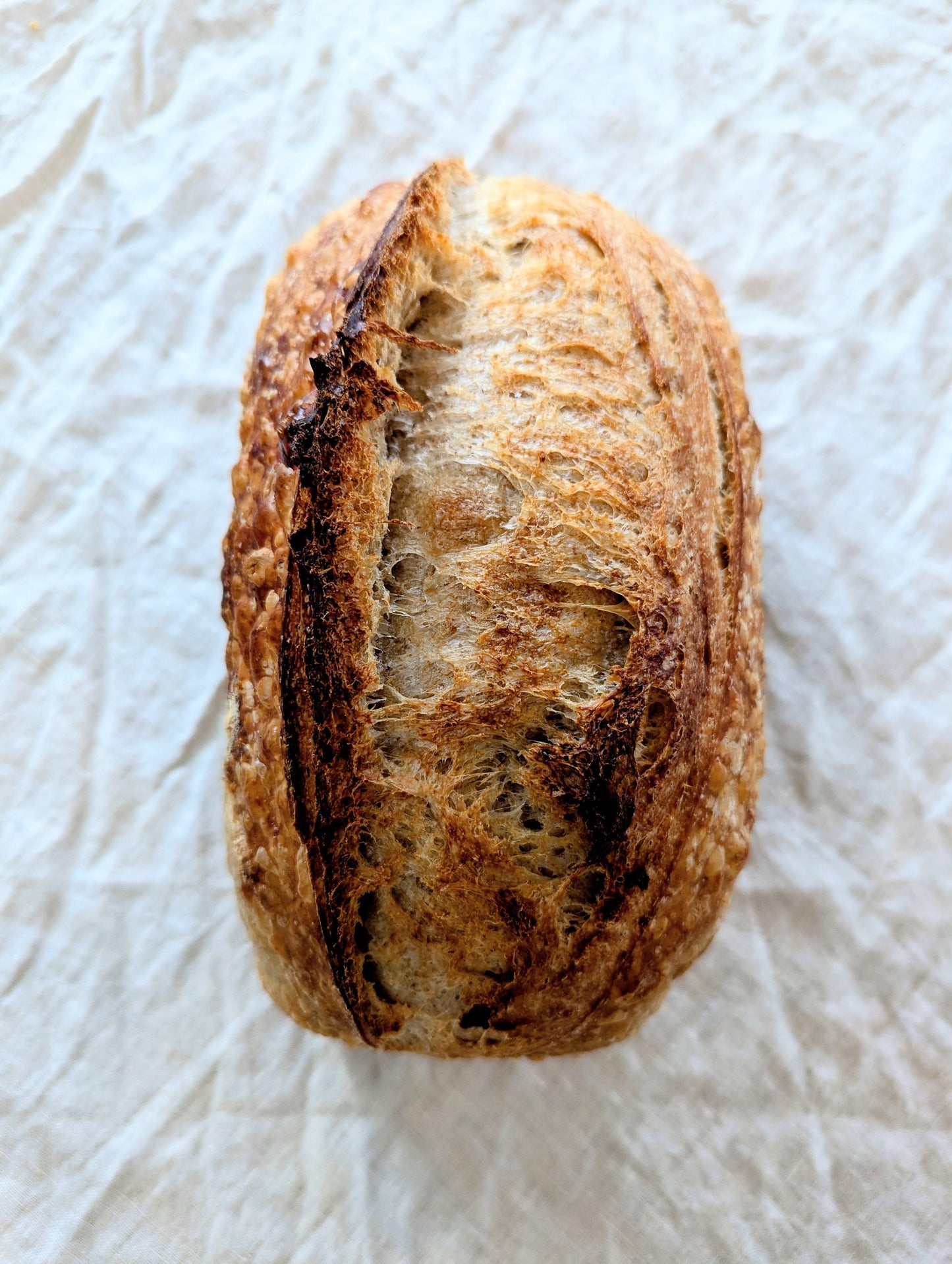 Classic Sourdough Loaf