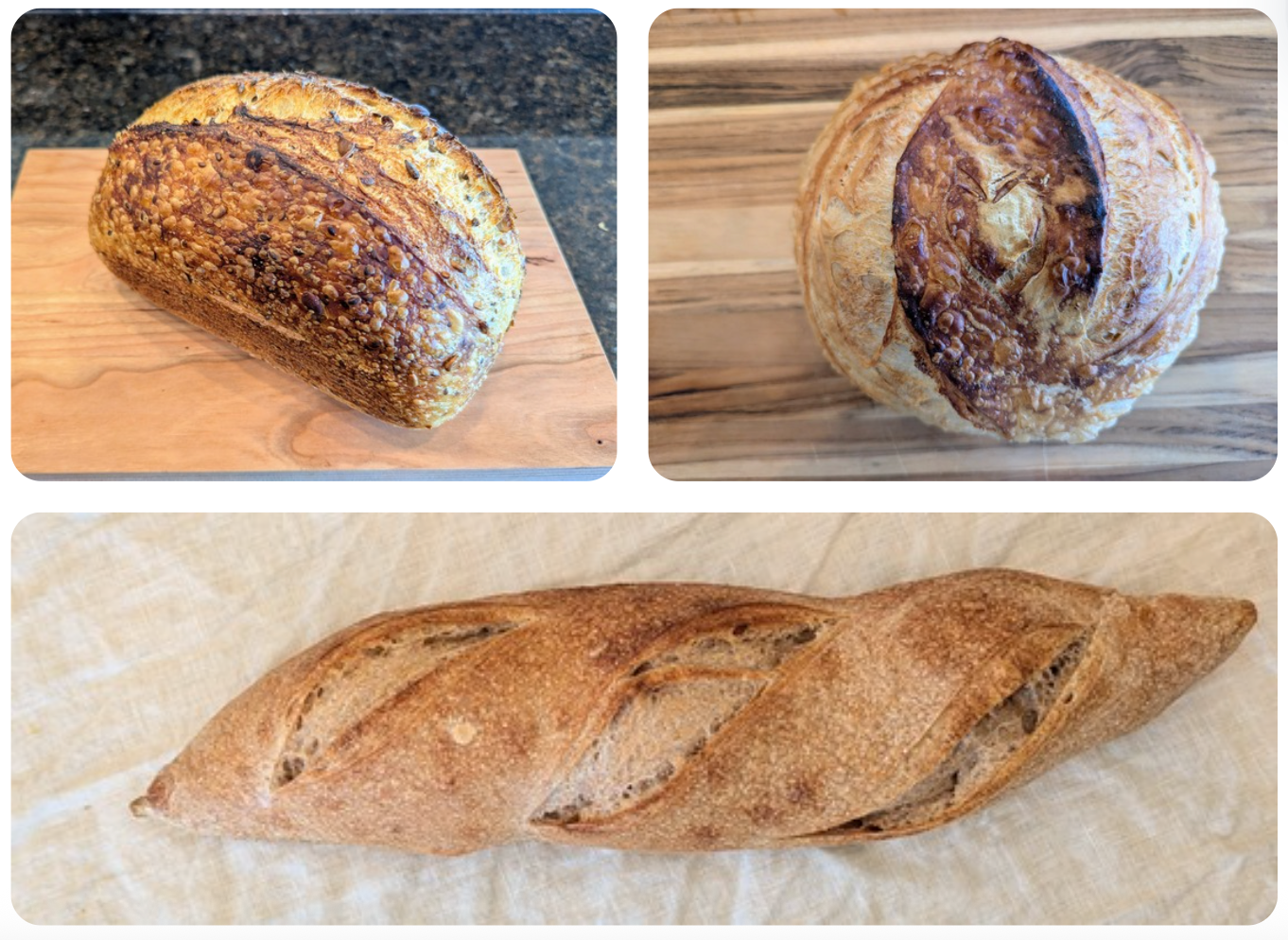 Bread Sampler Bundle