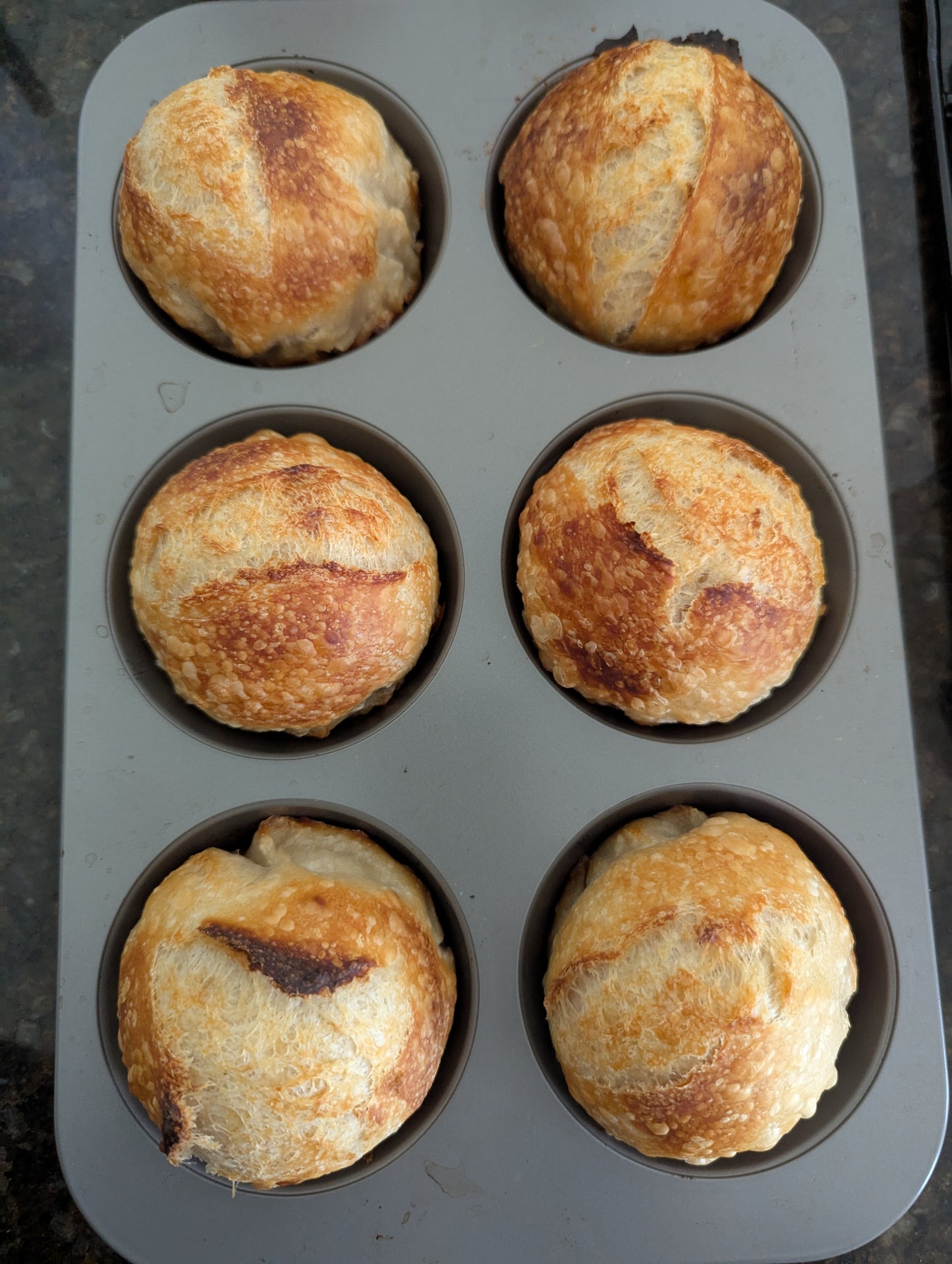 Sourdough Buns: 6 pack